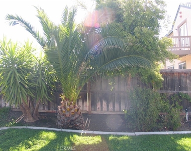 27720 Elderberry Street - Photo Thumbnail 43