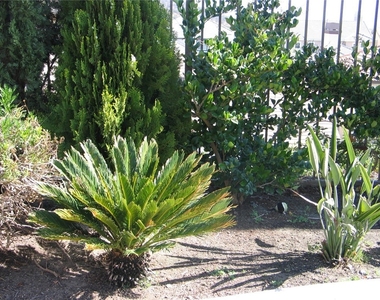 27720 Elderberry Street - Photo Thumbnail 44