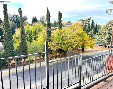2941 Sunset Ln - Photo Thumbnail 14