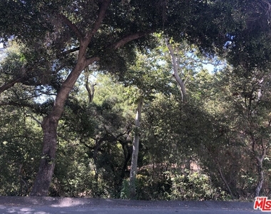 708 Thornhill Road - Photo Thumbnail 11