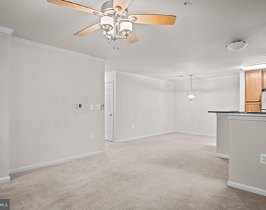 1509 North Point Drive - Photo Thumbnail 19