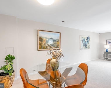 969 S Rolfe Street - Photo Thumbnail 45