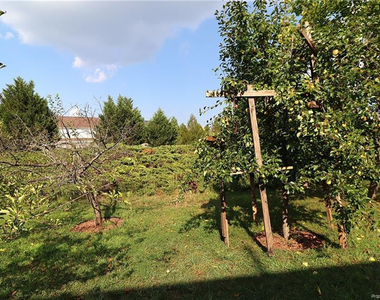 12554 Honeychurch Street - Photo Thumbnail 39