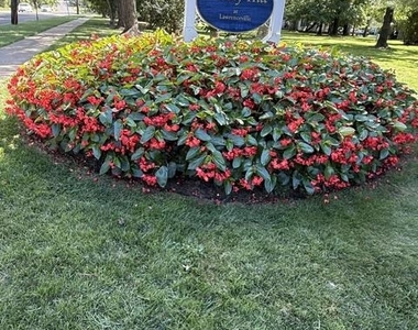 15 Magnolia Court - Photo Thumbnail 1