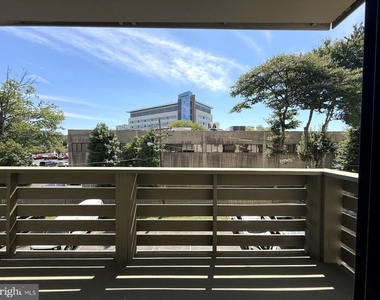 606 Cooper Landing Road - Photo Thumbnail 10