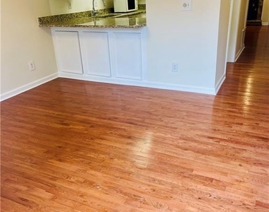 492 Granite Ridge Place - Photo Thumbnail 5