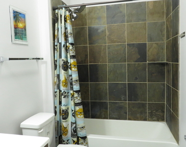 1464 S Michigan Avenue - Photo Thumbnail 16
