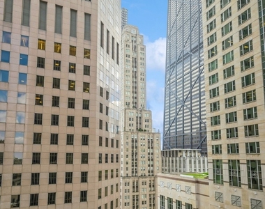 100 E Walton Street - Photo Thumbnail 14