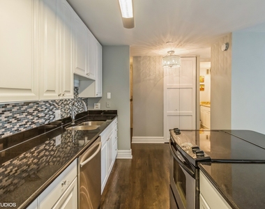 100 E Walton Street - Photo Thumbnail 2