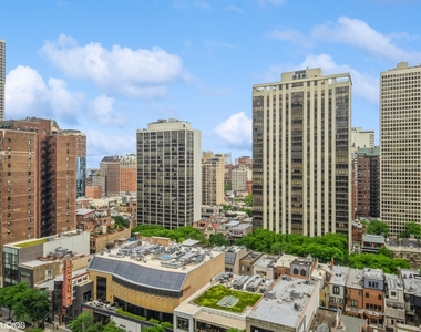 100 E Walton Street - Photo Thumbnail 13