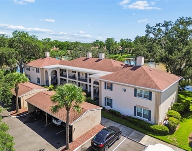 10354 Carrollwood Lane - Photo Thumbnail 22