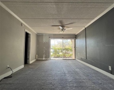 3325 Bayshore Boulevard - Photo Thumbnail 20