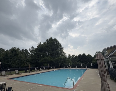 1519 Swamp Cabbage Drive - Photo Thumbnail 49