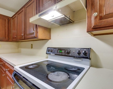 902 Wayne Avenue - Photo Thumbnail 12