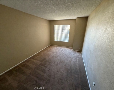 35378 Chiwi - Photo Thumbnail 9