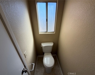 35378 Chiwi - Photo Thumbnail 16