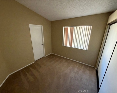 35378 Chiwi - Photo Thumbnail 19
