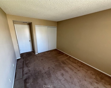 35378 Chiwi - Photo Thumbnail 10