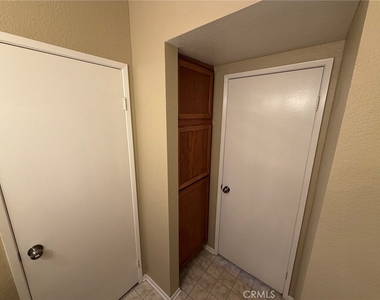 35378 Chiwi - Photo Thumbnail 22