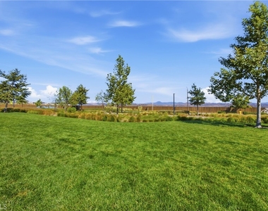 26729 Blue Hills Lp - Photo Thumbnail 41
