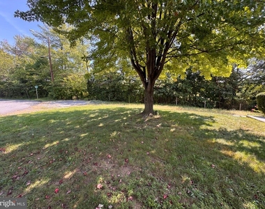449 Royal Street - Photo Thumbnail 17