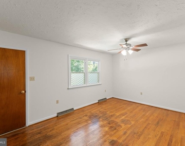 449 Royal Street - Photo Thumbnail 4