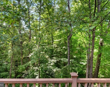 7877 Painted Daisy Drive - Photo Thumbnail 44