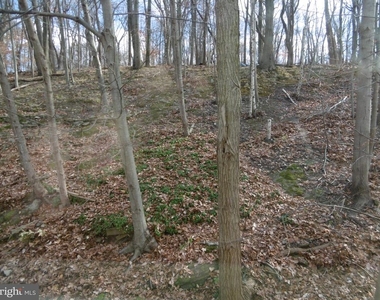 235 Parker Avenue - Photo Thumbnail 13