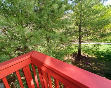 8459 Gold Sunset Way - Photo Thumbnail 21