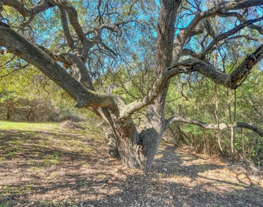 1411 Gracy Farms Ln - Photo Thumbnail 28