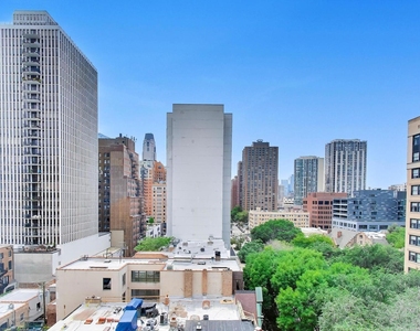 21 W Goethe Street - Photo Thumbnail 26