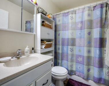 223 Ellen Street - Photo Thumbnail 8
