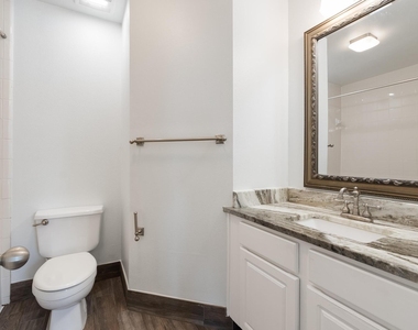 10638 Desert Springs Circle - Photo Thumbnail 17