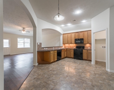 25531 Forest Springs Lake - Photo Thumbnail 13