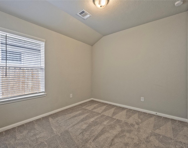 17502 Rosette Grass Drive - Photo Thumbnail 11