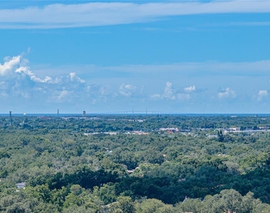 3301 Bayshore Boulevard - Photo Thumbnail 13