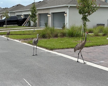 3037 Ella Way - Photo Thumbnail 5