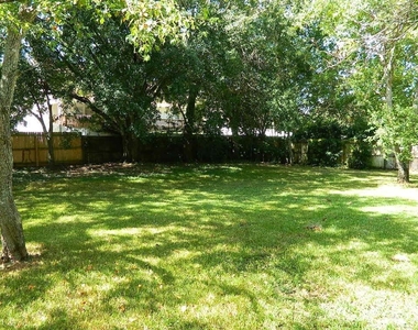 317 Silver Pine Drive - Photo Thumbnail 19