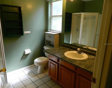317 Silver Pine Drive - Photo Thumbnail 10