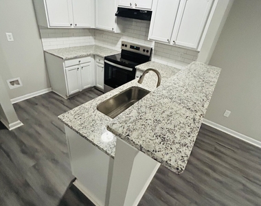 1160 Maple Valley Court - Photo Thumbnail 11