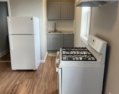 302 3rd Avenue - Photo Thumbnail 4