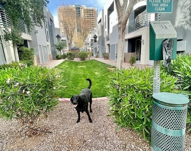 3633 N 3rd Avenue - Photo Thumbnail 33