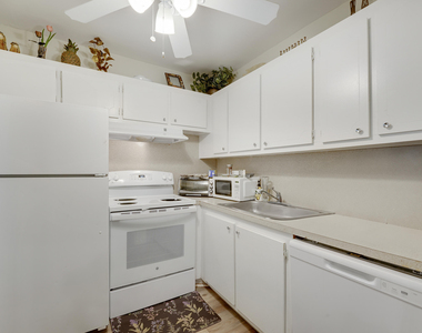 146 Mansfield D - Photo Thumbnail 6