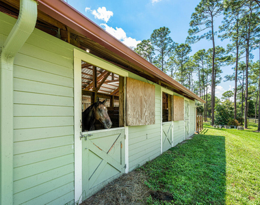 1835 Stallion Drive - Photo Thumbnail 24