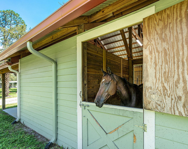 1835 Stallion Drive - Photo Thumbnail 23