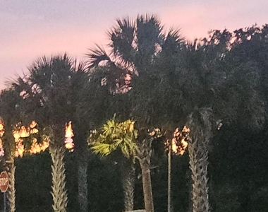 6707 Coquina Avenue - Photo Thumbnail 71