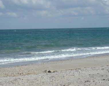 6707 Coquina Avenue - Photo Thumbnail 50