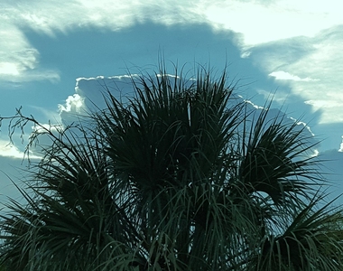 6707 Coquina Avenue - Photo Thumbnail 58