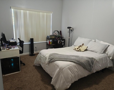 2506 Creekside Drive - Photo Thumbnail 25