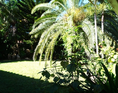 12629 Buckland Street - Photo Thumbnail 27